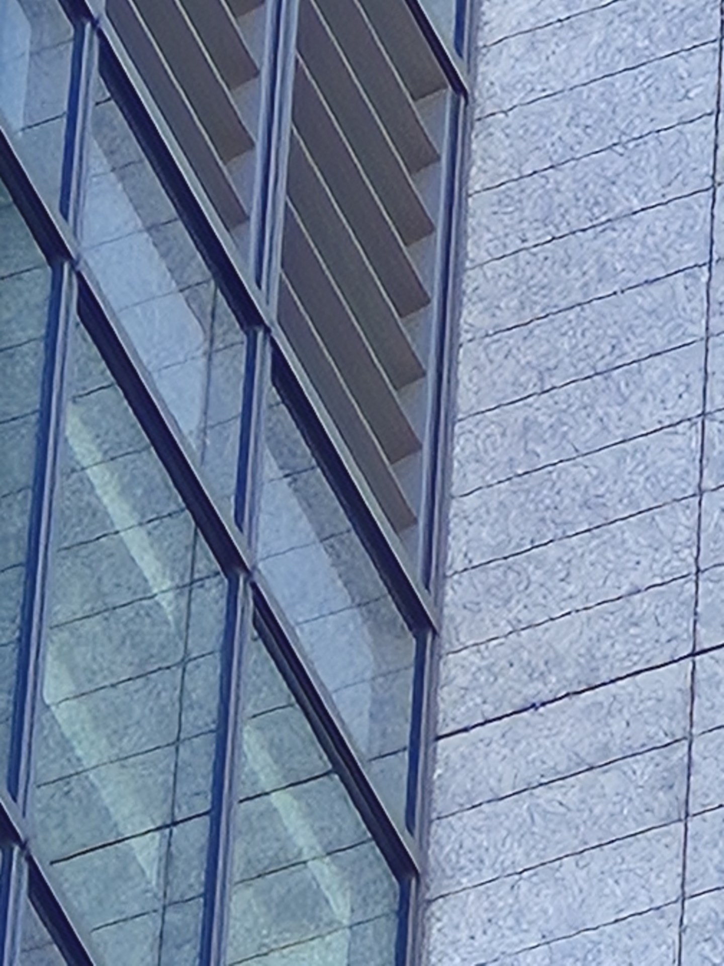 最大倍率（×30）まで拡大